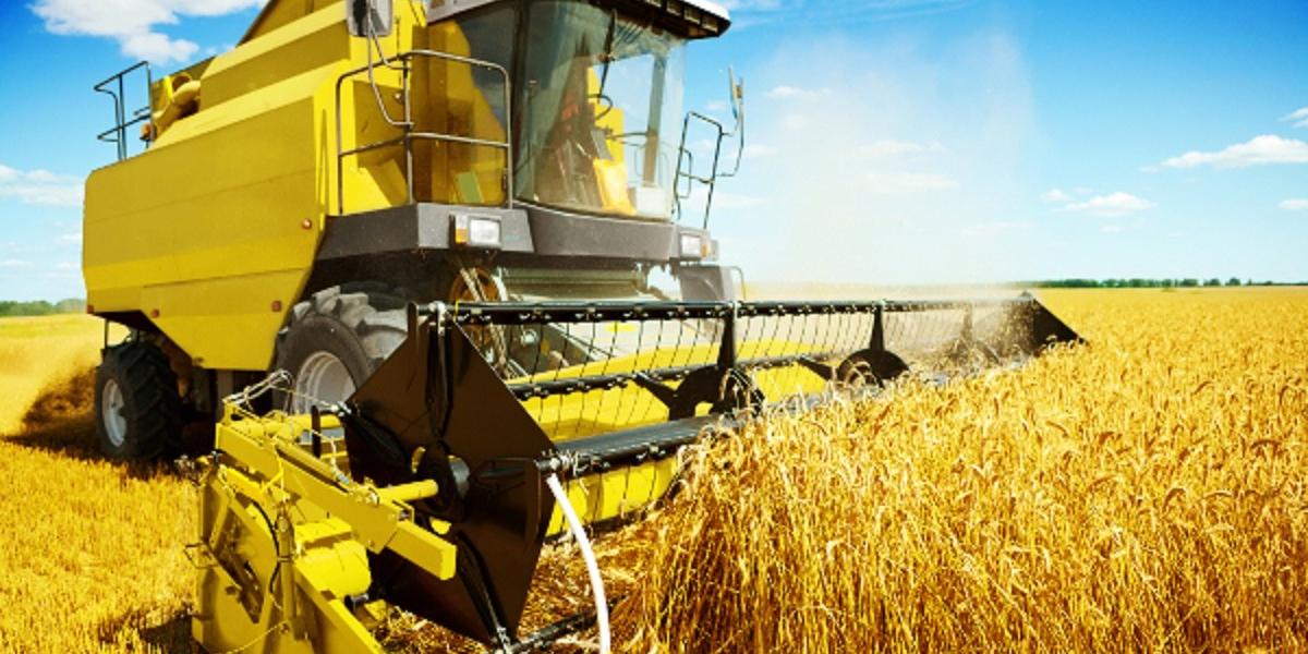 Tunisie:La Covid-19 doit être l’occasion de repenser le système agricole tunisien selon la BM