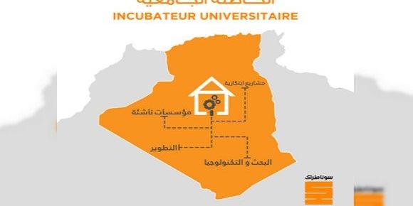 Algérie:Création d’un incubateur pour les startups à l’université de Ouargla
