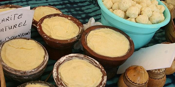 Côte d’Ivoire:Un projet de greffage du karité lancé à Boundiali