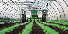 Maroc: La nouvelle stratégie agricole au centre des préoccupations