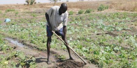 Sénégal : bientôt une formation agricole en ligne