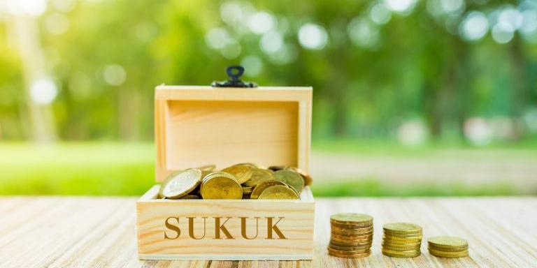 Egypt : Sarwa Capital, Amer Group to conduct their sukuk offerings before 2020 end