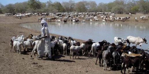 SENEGAL;L’UE arme pasteurs et agro-pasteurs