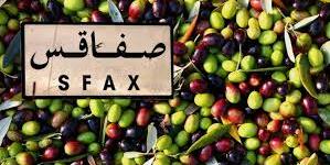 تونس : ارتفاع كميات الزيتون الواردة على سوق قرمدة