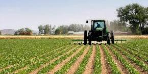 Maroc: 1,6 million de quintaux de semences disponibles pour la saison agricole 2020-2021