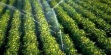 Tunisie:La Société ” Flehetna ” forme dans le domaine de l’irrigation