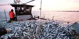 Maroc: Hausse des exportations en septembre