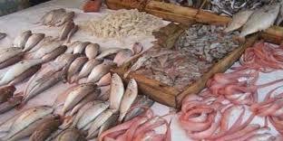 المغرب : ارتفاع صادرات المنتوجات البحرية بنسبة 7٪ رغم أزمة "كورونا"
