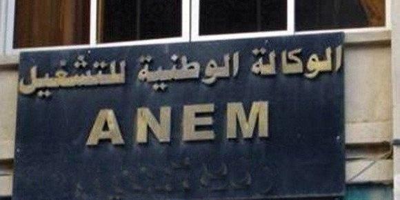 الجزائر/الاتحاد الأوروبي: اختتام برنامج دعم عصرنة الوكالة الوطنية للتشغيل