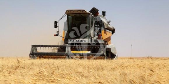 Algérie:Une carte numérique pour les agriculteurs en 2021