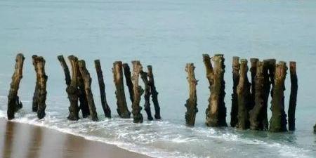 Sénégal : lancement de la phase 2 du projet d’amélioration de la résilience climatique des zones côtières