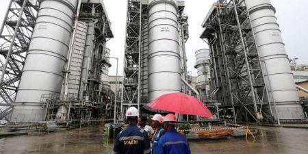 Nigeria: le gouvernement cède la propriété des centrales thermiques d’Afam (966 MW) à Transcorp