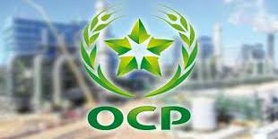 Maroc: OCP lance un programme pilote pour 900 agriculteurs à Rehamna et Youssoufia