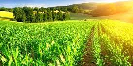 Maroc: 220 agriculteurs bénéficiaires de l'opération