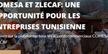 Tunisie:Le ministère du Commerce lance un site Internet destiné aux acteurs économiques intéressés par le marché africain