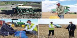 Maroc: L'initiative Al Moutmir au service de l'agriculture durable