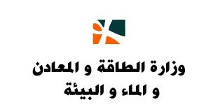 المغرب : يعلن تشكيل لجنة متخصصة لوضع خارطة طريق في أفق يناير 2021