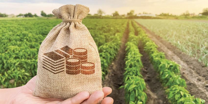 Tunisie:Billet , L’agriculture, pièce-maîtresse de la relance économique