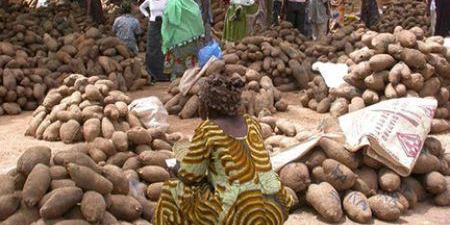 Côte d’Ivoire : la BAD mobilise 14 millions de dollars en faveur de petits producteurs d’une région du centre