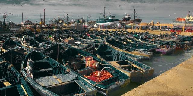 Morocco, Russia Sign New Fisheries Cooperation