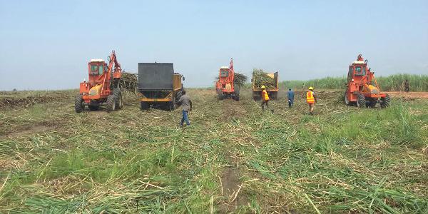 SENEGAL:CORAF ,PLUS DE 5 MILLIARDS DE LA SUISSE POUR SOUTENIR LA RECHERCHE AGRICOLE