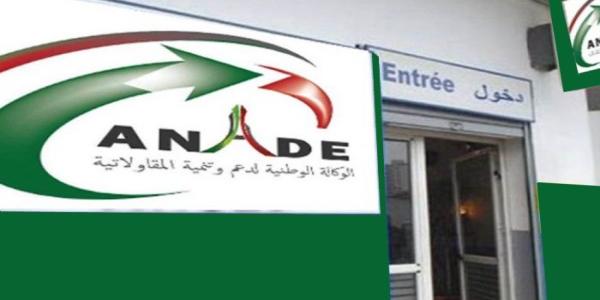 Algérie: Micro-entreprises en difficulté- 166 dossiers de remboursement de dettes validés