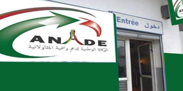 الجزائر: ضيافات يجري حركة واسعة لمدراء الوكالة الوطنية لدعم وتنمية المقاولاتية عبر الولايات