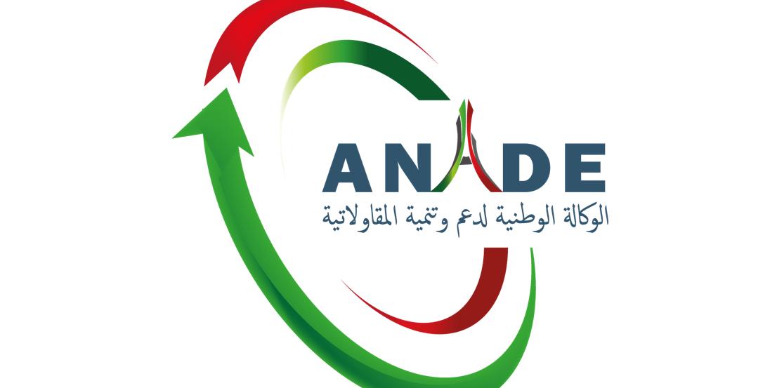 Algéria : Elevage équin: l'ANADE et le Haras national de Chaouchaoua examinent les moyens d'appui aux micro-entreprises