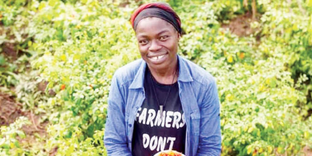 NIGERIA:Pepper Farming A Treasure Trove Many Ignore – LASU Graduate