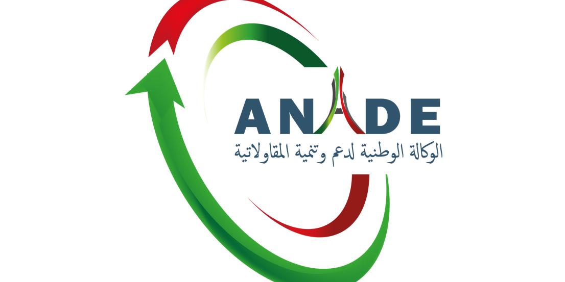 Algérie : ANADE: les micro-entreprises peuvent élargir leurs activités à d'autres domaines