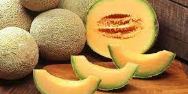 Maroc : Les prix des melons marocains ont été très intéressants en Europe
