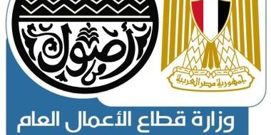 مصر : مد فترة تلقى خطابات إدارة شركة محطات شحن السيارات الكهربائية لـ24 مارس