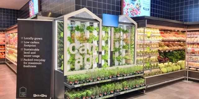 South Africa : Pick n Pay launches in-store ‘vertical farms’