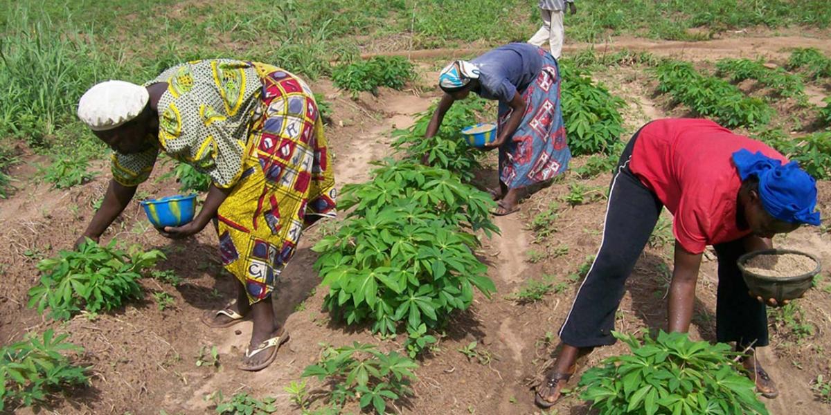 Nigeria : CBN guaranteed N129.084b agric loans from 1978 to date