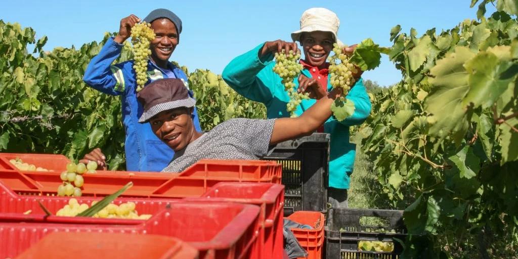 South Africa : Norway investing R120 million in South African dried fruit and nut business – with demand expected to rocket