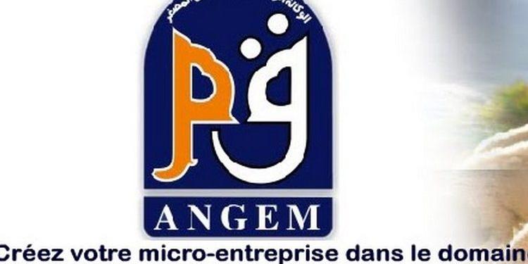 Algérie: ANGEM: plus de 1100 micro-entreprises créées au 1er trimestre 2022