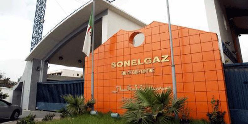 الجزائر : سونلغاز تُغلق 12 شركة فرعية لهذا السبب
