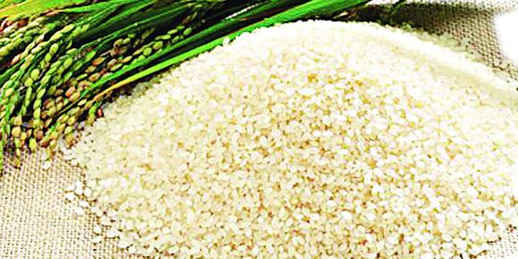 Nigeria : Customs seizes 12 trucks of poisonous imported rice