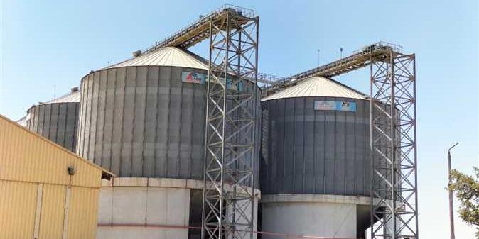 مصر : توريد 31 ألف طن من القمح المحلي في بني سويف