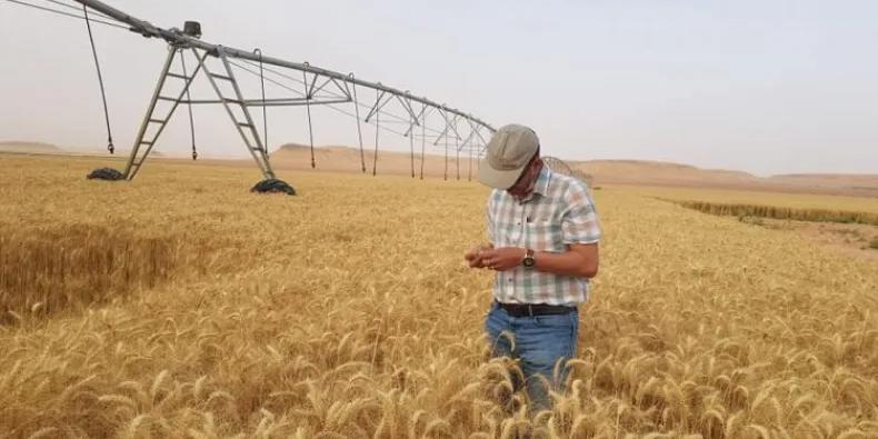 الجزائر : 85 ألف هكتار من الأراضي الزراعية للراغبين بالاستثمار في الجنوب