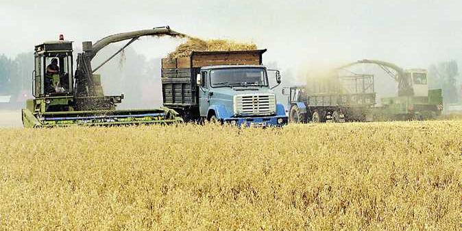 مصر : «الزراعة» تواصل متابعة حصاد وتوريد القمح ومنظومة الأسمدة في محافظات الصعيد