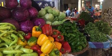 مصر : 61 مليون دولار زيادة في صادرات مصر الزراعية خلال شهر واحد