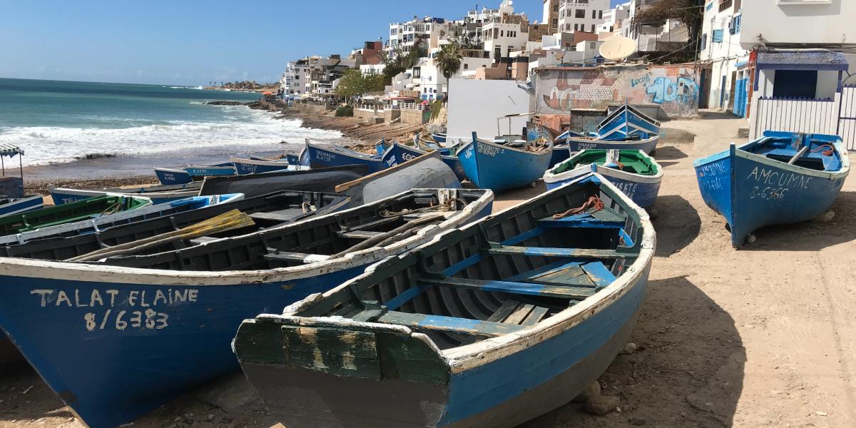 Maroc : Pêche: « La durabilité est l’unique voie possible » (FAO)