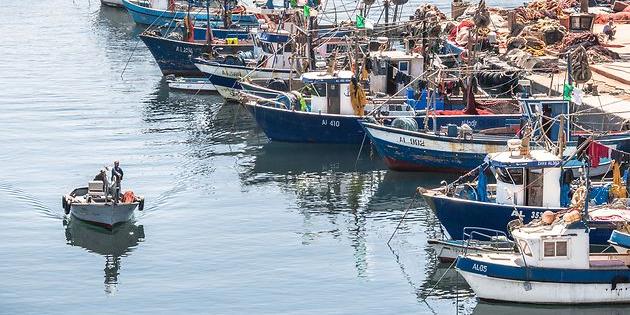 Algérie: Présentation du projet de loi complétant la loi relative à la pêche et à l'aquaculture