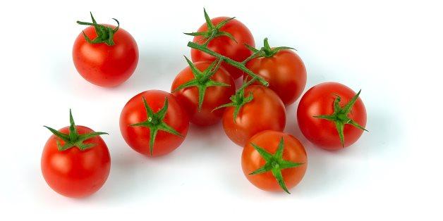 Egypt ranks 5th worldwide in tomato production: FAO