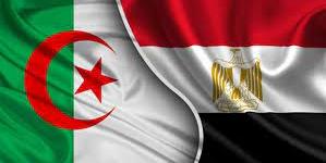 مصر-الجزائر «المشاط»: انطلاق الاجتماعات التحضيرية على المستوى الوزارى للجنة العليا المصرية الجزائرية