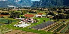Algérie: Sonelgaz ambitionne de raccorder 30.000 exploitations agricoles au réseau d’électricité à la fin 2022