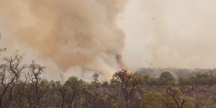 Maroc : Chefchaouen: L’incendie dans la zone forestière au niveau des communes de Tassift et Talmbout “globalement” maîtrisé (sources locales)