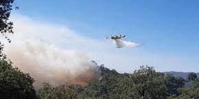 Maroc : Taza: L’incendie de la forêt Bab Azhar maîtrisé (Sources locales)