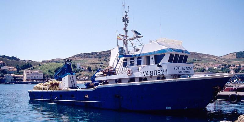 Algérie: La dynamique de construction des thoniers contribuera au développement de la pêche au large